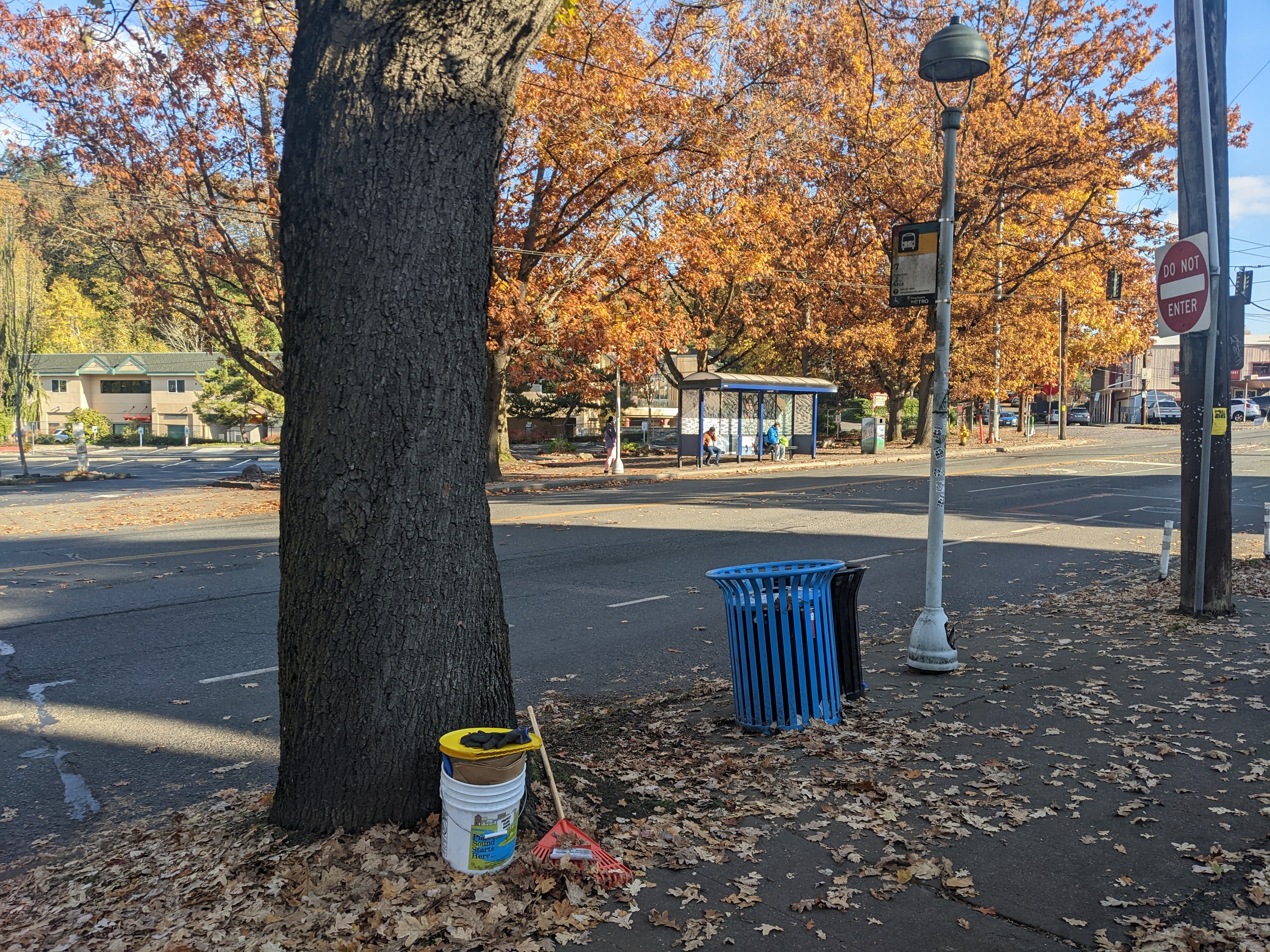 Bus stop after cleanup