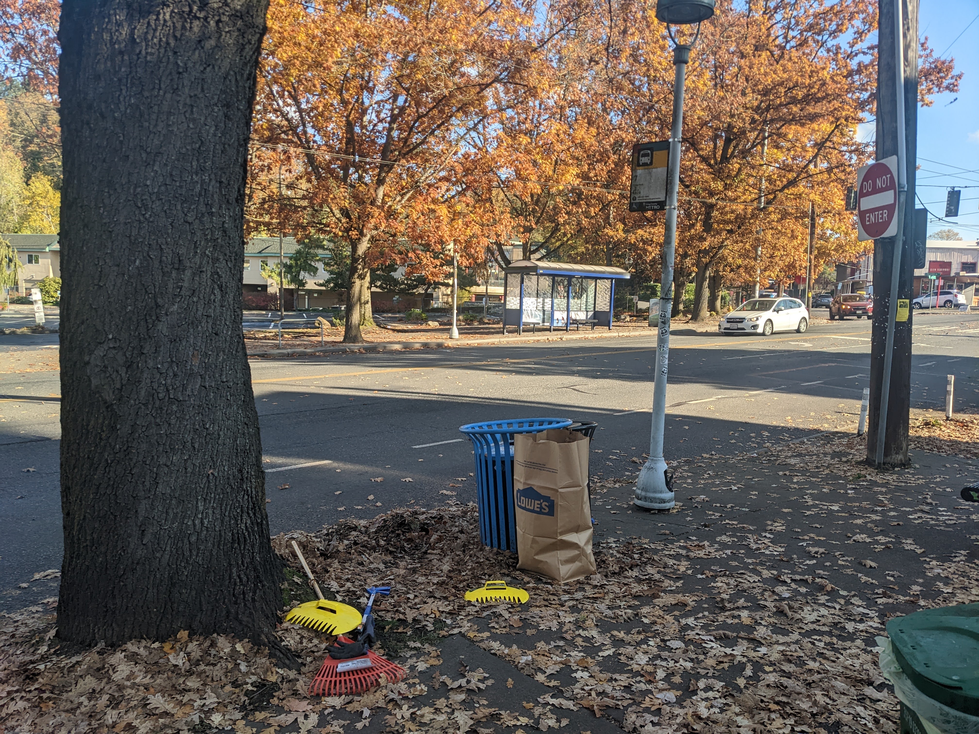 Pile of leaves at the bus stop