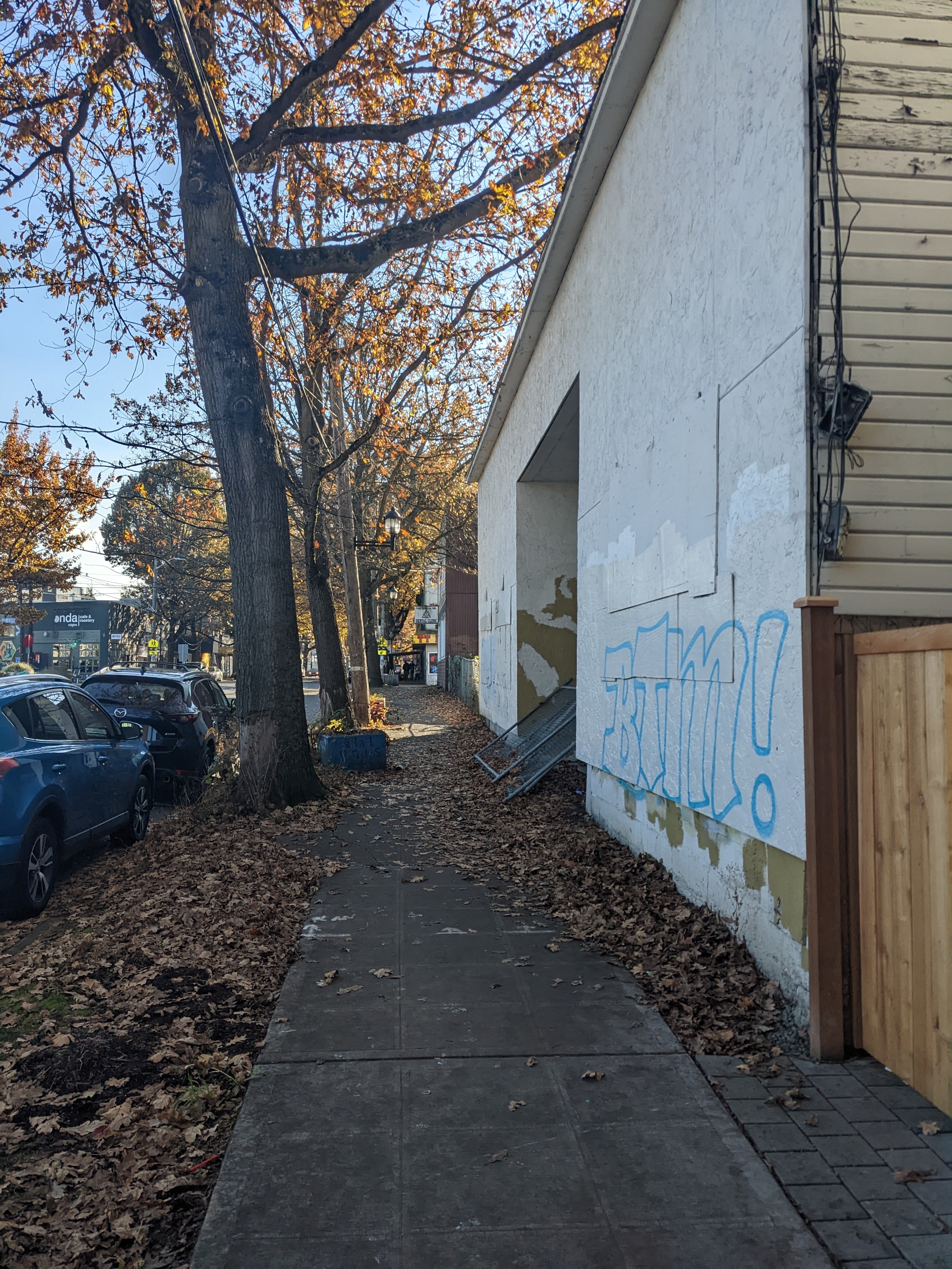 Sidewalk before cleanup