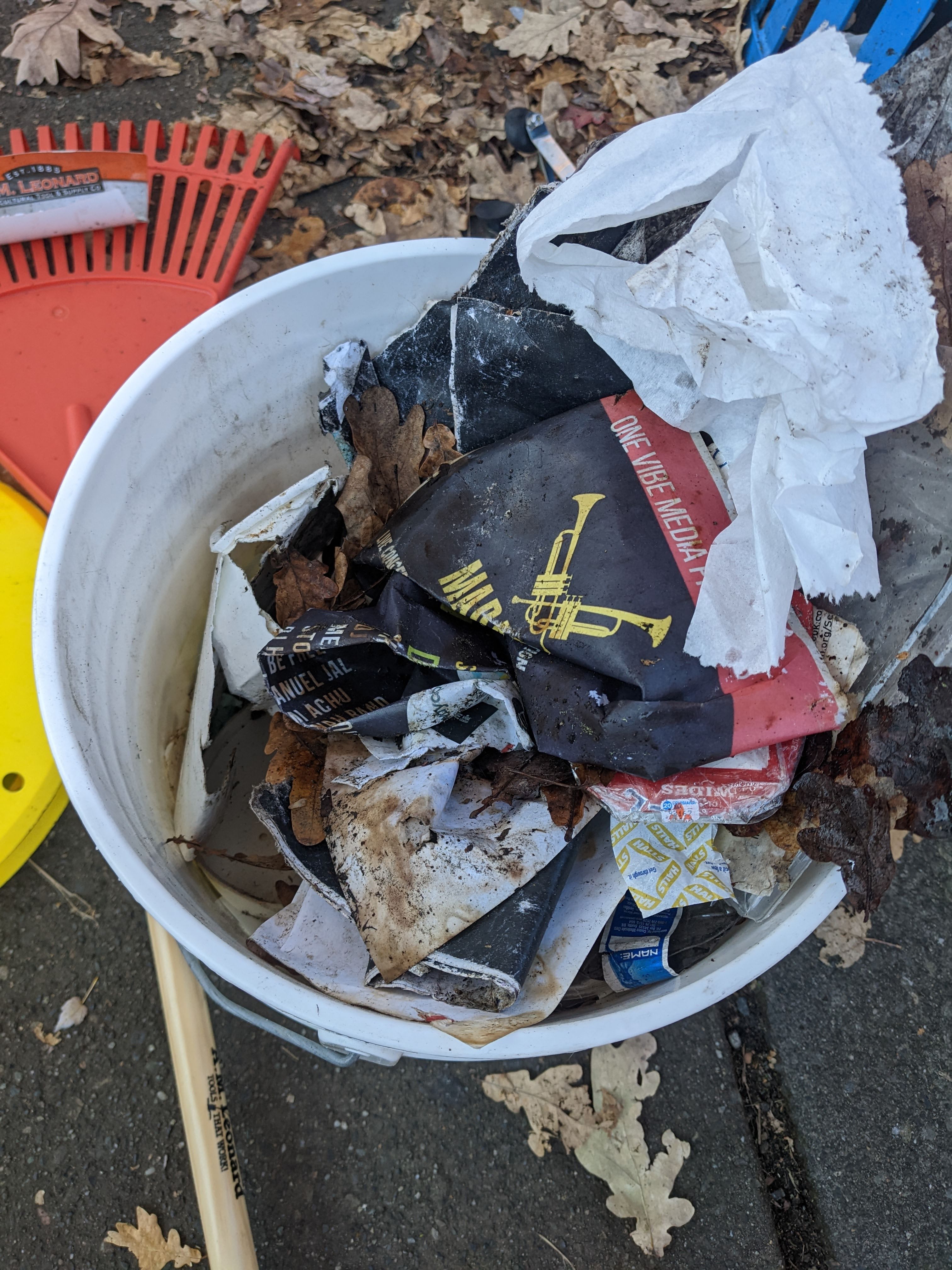 Trash from sidewalk cleanup